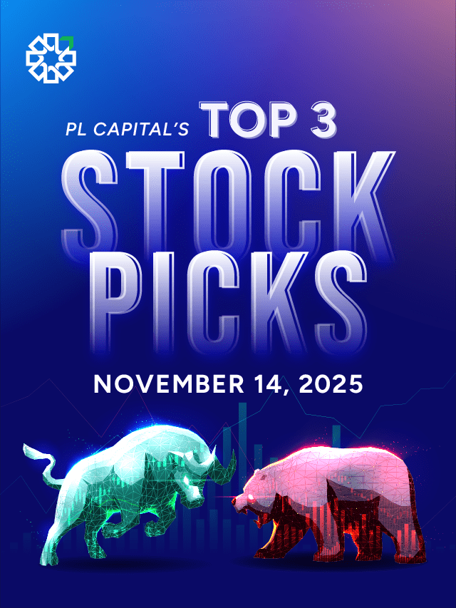 Top Stock Picks for November 14 | By PL Capital